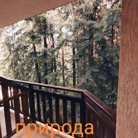 Park Apartament