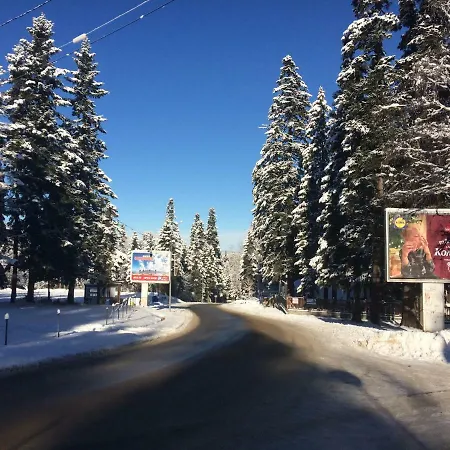 Park Apartament Boroveț