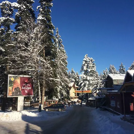 Park Apartman Borovec