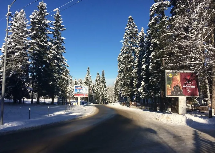 Park Apartmán Borovec