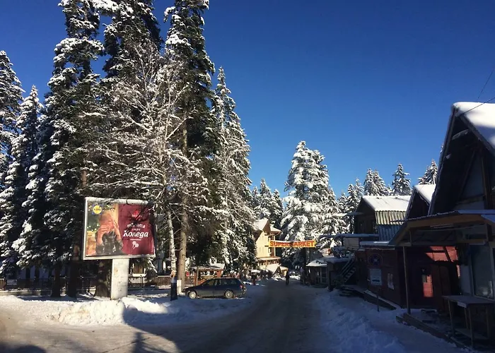 Park Apartmán Borovec